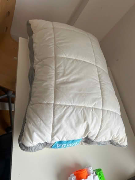 Photo of free Simba pillow (N15) #1