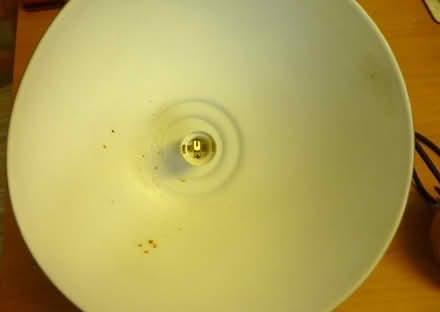 Photo of free Large pendant light fitting (West Bowling BD5) #4