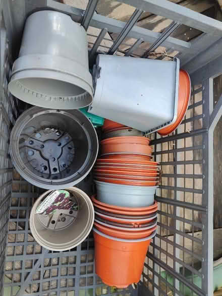 Photo of free Plant pots - various sizes (Hertford SG13) #1