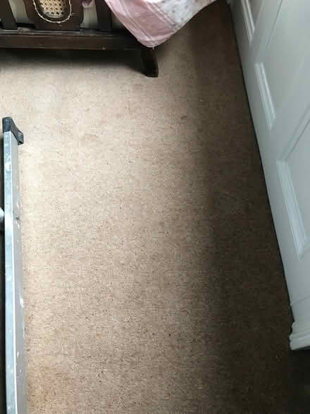 Photo of free Wool carpet (West Bridgford NG2) #3