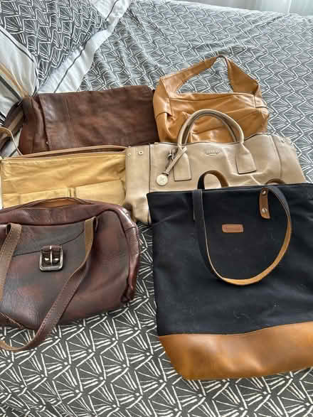 Photo of free Bags, bags, bags (Hatfield) #1