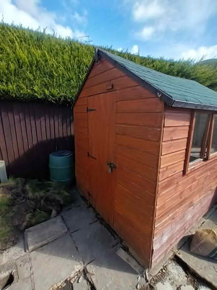 Photo of free Shed (Polegate BN26) #2