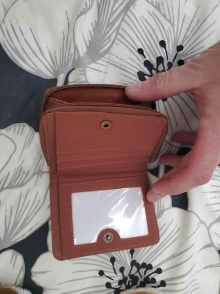 Photo of free Purses (B26) #4