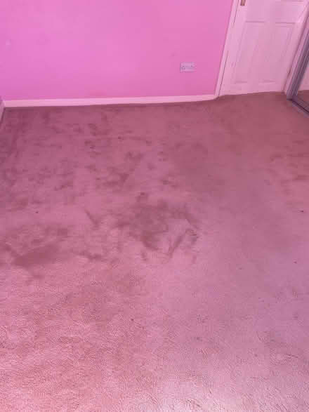 Photo of free Carpet (Great Baddow CM2) #2