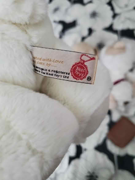 Photo of free Teddys (B26) #2