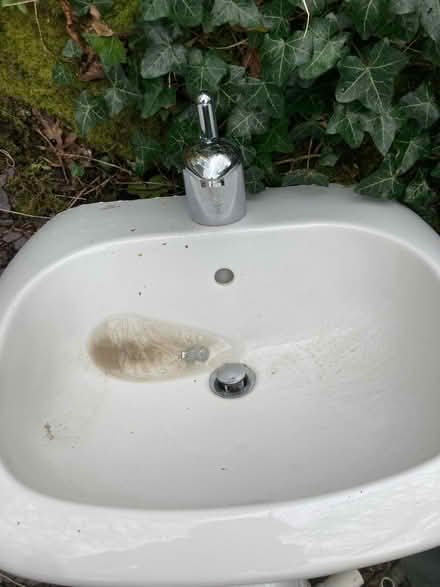 Photo of free Toilet, sink, bidet (Shortlanesend, TR4) #4