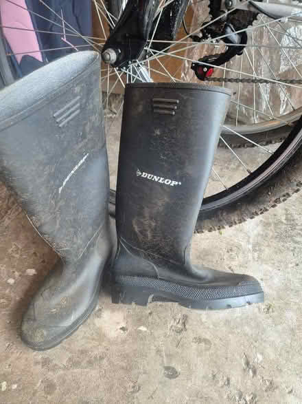 Photo of free Size 3 wellies (Stainton CA11) #1