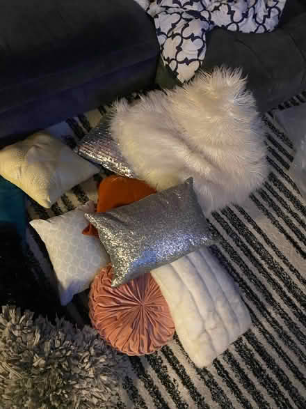 Photo of free Decorative pillows (Derwood) #2