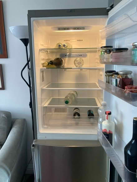 Photo of free LG Fridge Freezer (Gwaelod-y-Garth (CF15)) #2