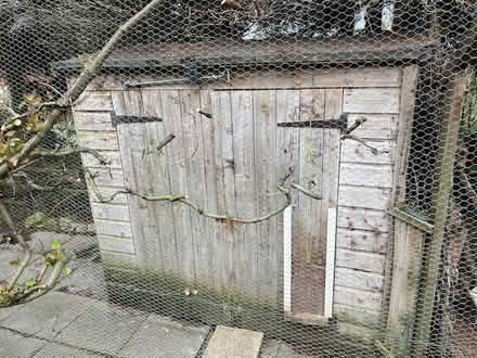 Photo of free Shed (in need of repair) (Downswood Near Maidstone) #1