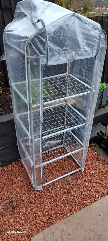 Photo of free Small greenhouse (DE56 neather heage) #1