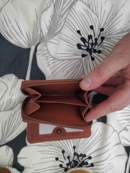Photo of free Purses (B26) #3