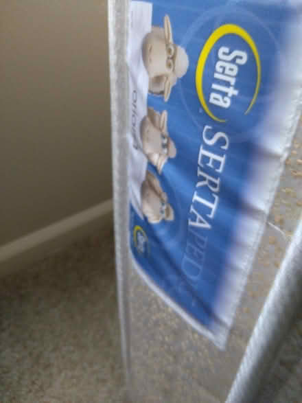 Photo of free Twin bed (Warrenville, IL) #1