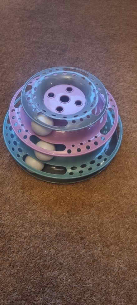 Photo of free Cat toy (Kennington OX1) #1