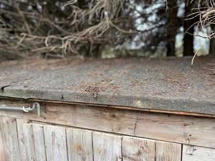 Photo of free Shed (in need of repair) (Downswood Near Maidstone) #3