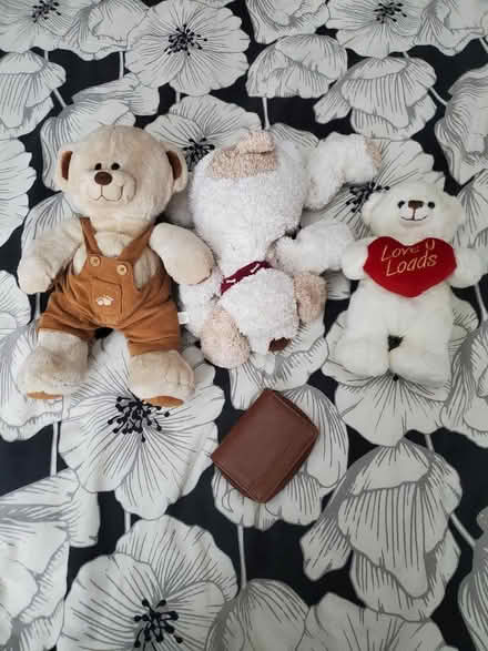 Photo of free Teddys (B26) #1