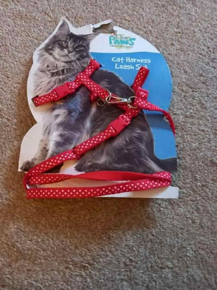 Photo of free Cat harness and lead (Lancing BN15) #1