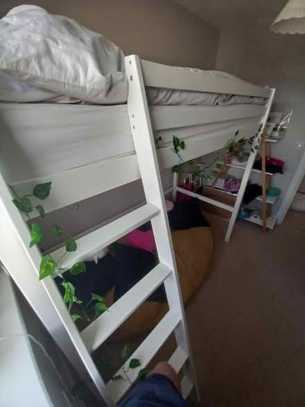 Photo of free IKEA Loft Bed Single (Bath - Lansdown) #1