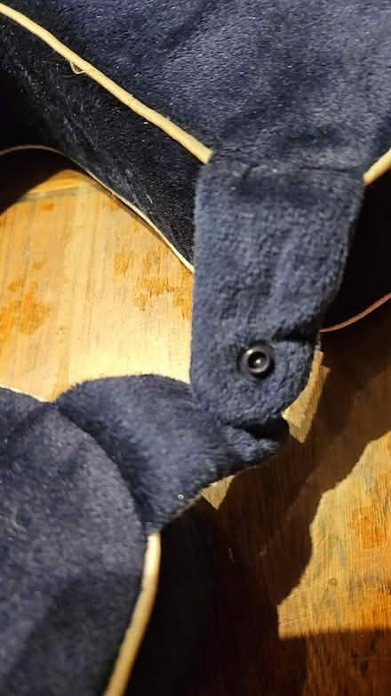 Photo of free Travel pillows (Leslieville) #3