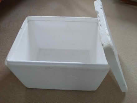 Photo of free Polystyrene Cool Box (Woodmancote GL11) #1