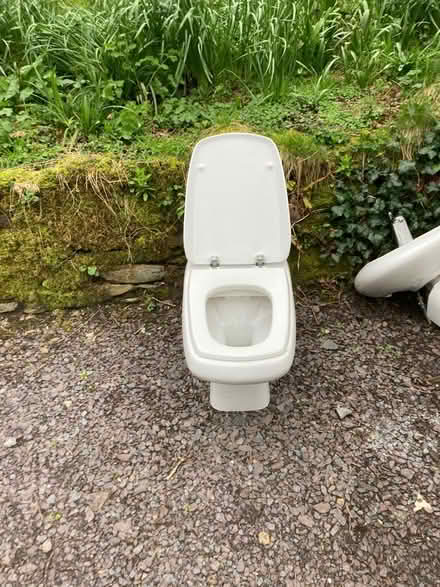 Photo of free Toilet, sink, bidet (Shortlanesend, TR4) #3