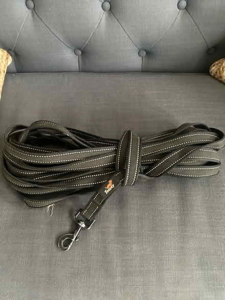 Photo of free Long dog lead (Downley HP13) #1