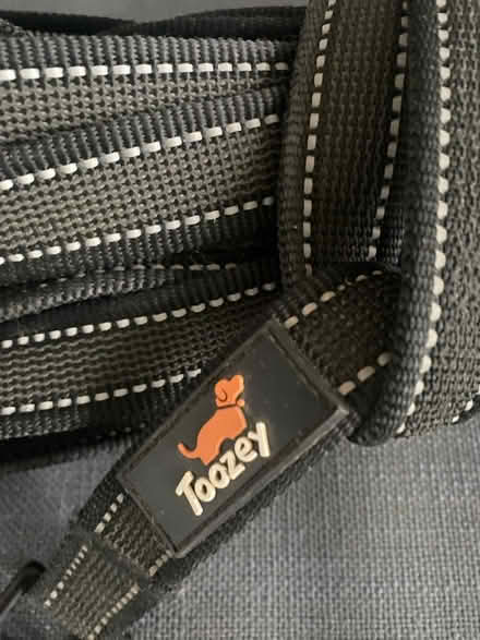 Photo of free Long dog lead (Downley HP13) #2