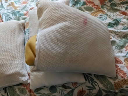 Photo of free Pillows (Sheffield S12) #2
