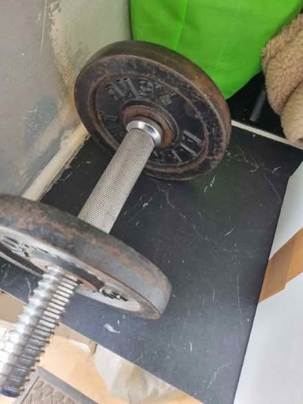 Photo of free Exercise equipment and bench press (Hayes UB3) #3
