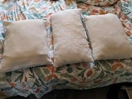 Photo of free Pillows (Sheffield S12) #1
