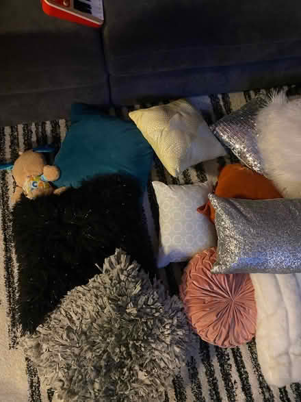 Photo of free Decorative pillows (Derwood) #1