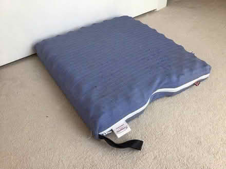 Photo of free Orthopaedic cushion (Roselands, Eastbourne, BN22) #1