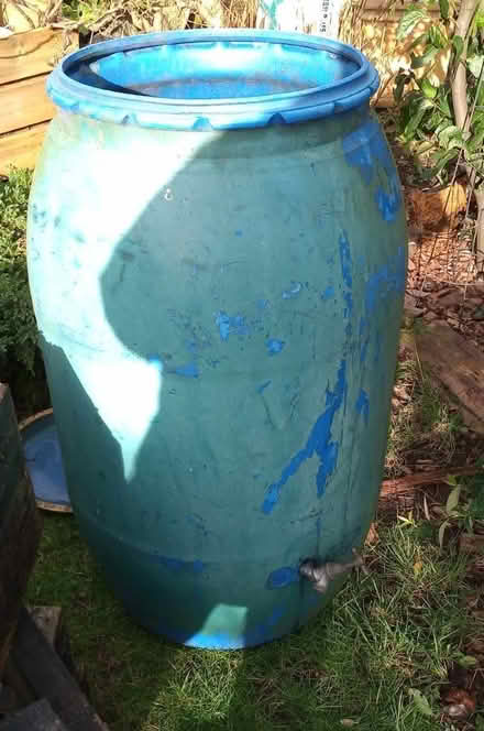 Photo of free Waterbutt (Sale M33) #1