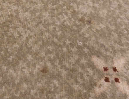 Photo of free Rug and Carpets for Allotment / Weed Suppression? (Eaton NR4) #1