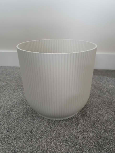 Photo of free Indoor plant pot (Wellingborough) #1