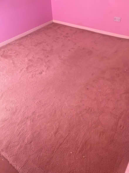 Photo of free Carpet (Great Baddow CM2) #1