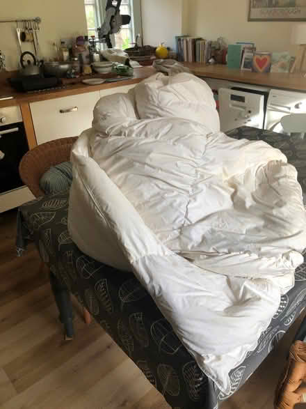 Photo of free Double duvet (Corsham SN13) #1