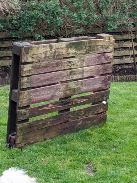 Photo of free Wooden Pallet (Tunstall) #1