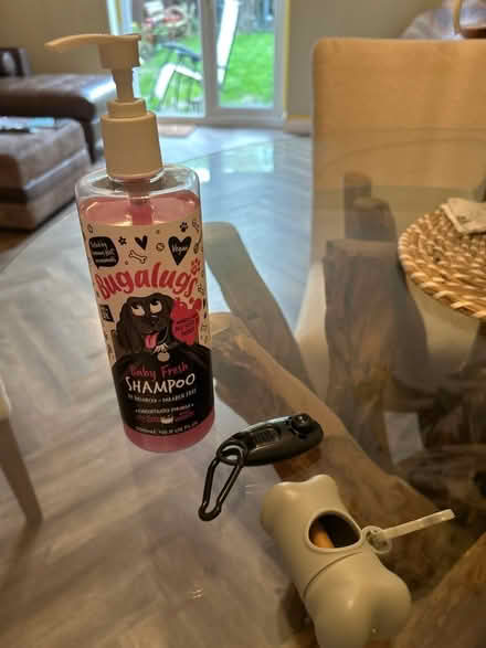 Photo of free Dog accessories (Hatfield) #1
