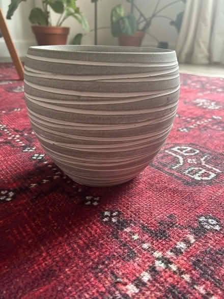 Photo of free Plant pot (Streatham Hill) #2