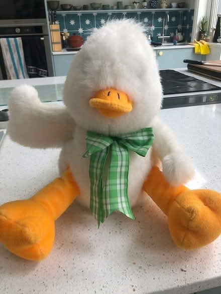 Photo of free Fraser fluffy duck (Bromley BR1) #1
