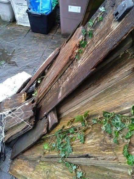 Photo of free Old fencing/ woodi (WA10) #2