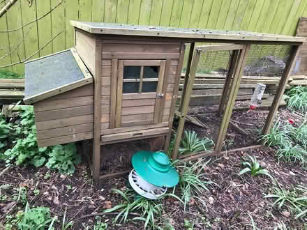 Photo of free Coup & Run - Rabbits, Chickens etc (Bridlington YO16) #2