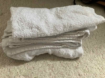 Photo of free Terry towels (Burnage M19) #1
