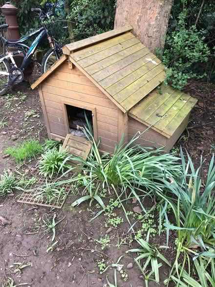 Photo of free Chicken Coup (Bridlington YO16) #2
