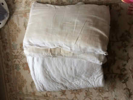Photo of free single duvet (New Marston OX3) #1
