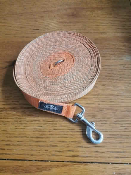 Photo of free Extra long 15m dog training lead (Horley, RH6) #1