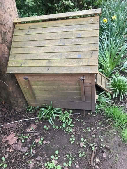 Photo of free Chicken Coup (Bridlington YO16) #4