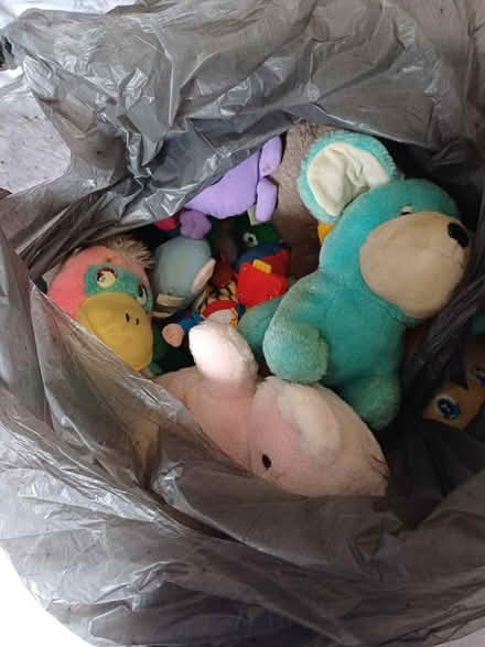 Photo of free Soft toys (SS9) #2
