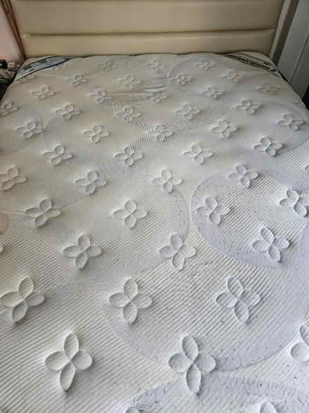 Photo of free King Koil Queen Size mattres (Marsiling rise , 730128) #3